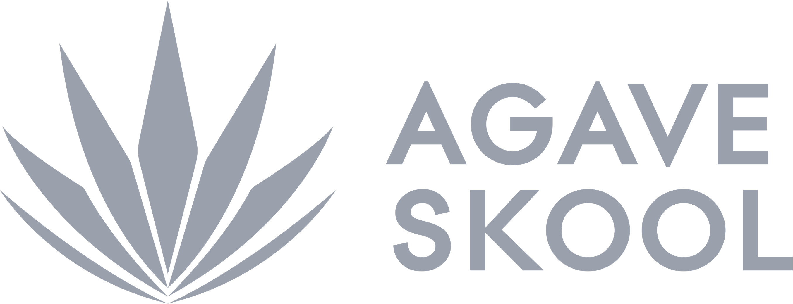 AGAVESKOOL