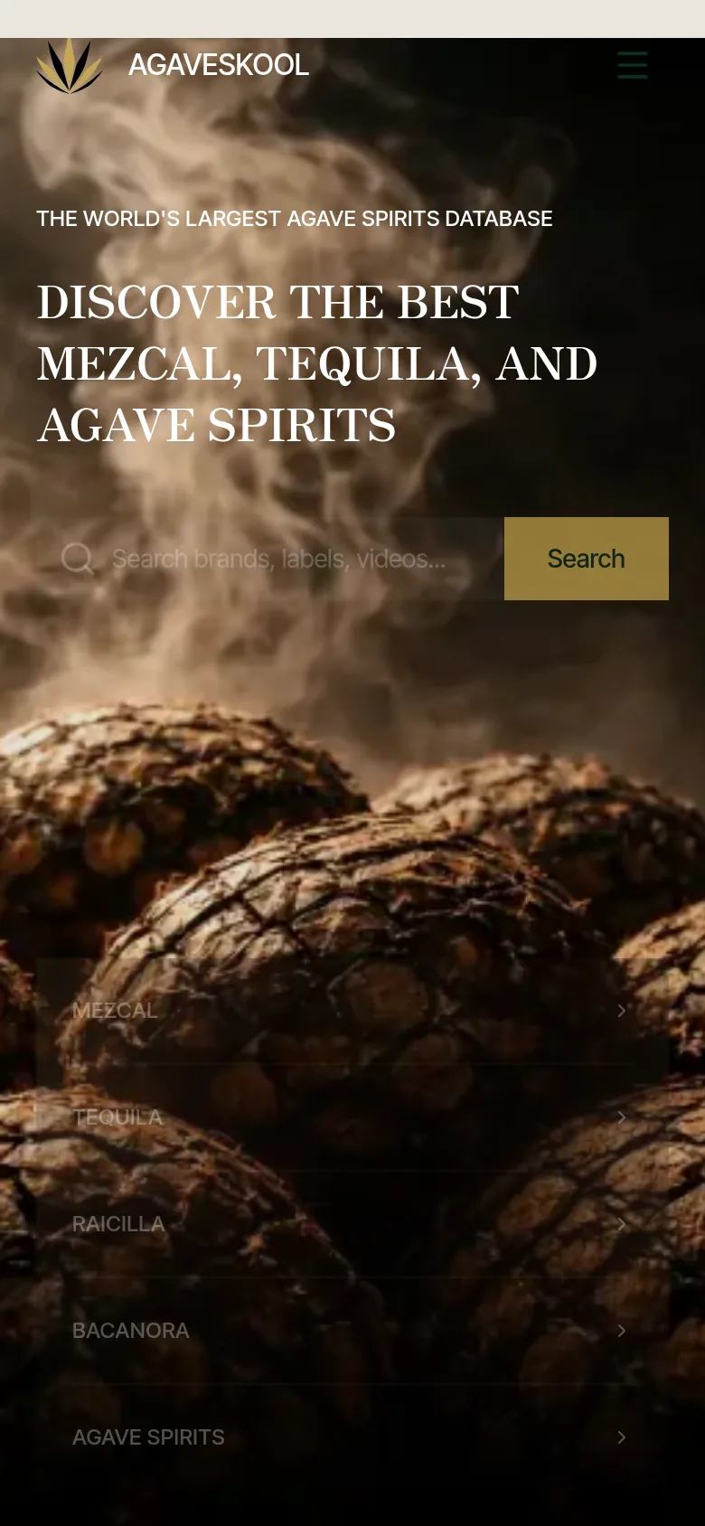 AGAVESKOOL mobile site